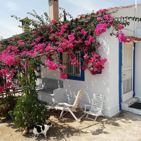 Finca La Joya トレブランカ エクステリア 写真