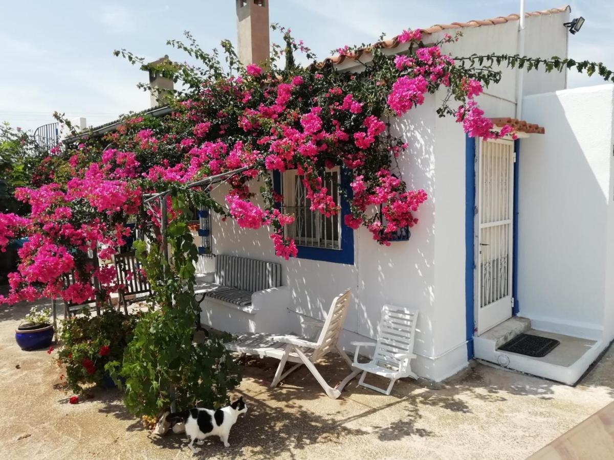 Finca La Joya トレブランカ エクステリア 写真